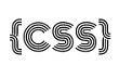 (CSS)